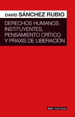 DERECHOS HUMANOS INSTITUYENTES