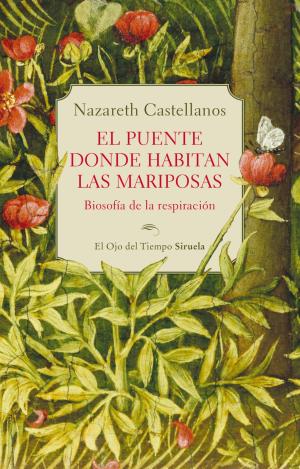 EL PUENTE DONDE HABITAN LAS MARIPOSAS