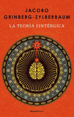 LA TEORIA SINTERGICA