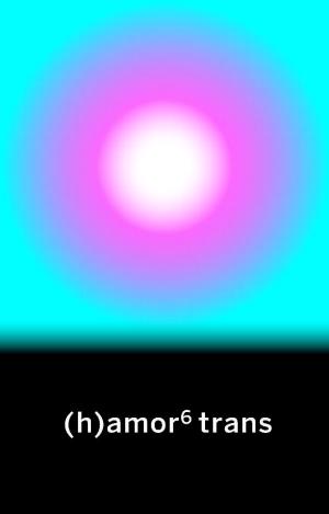 (H)AMOR 6 TRANS