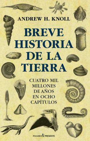 BREVE HISTORIA DE LA TIERRA