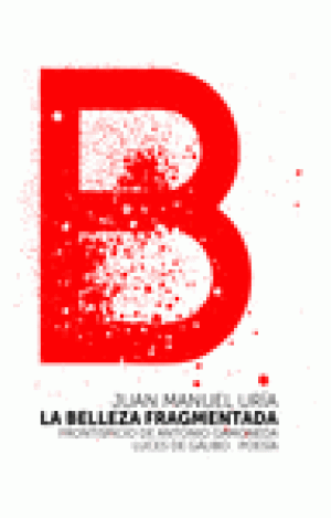 BELLEZA FRAGMENTADA,LA