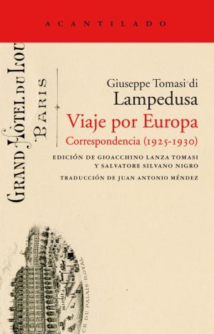VIAJE POR EUROPA
