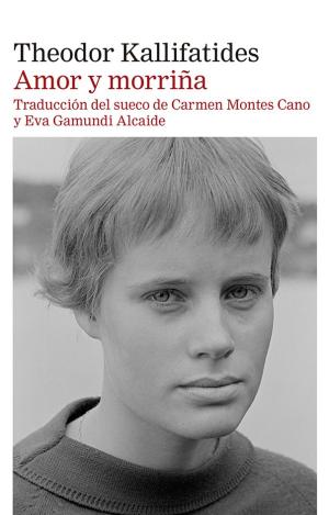 AMOR Y MORRIÑA