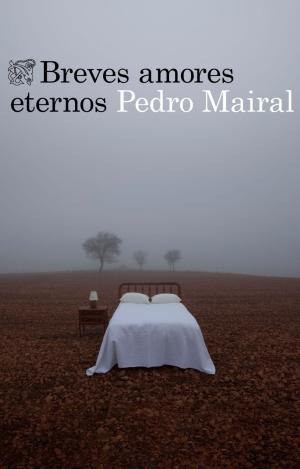 BREVES AMORES ETERNOS