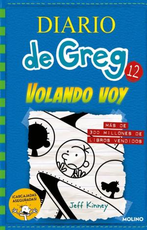 DIARIO DE GREG 12 - VOLANDO VOY