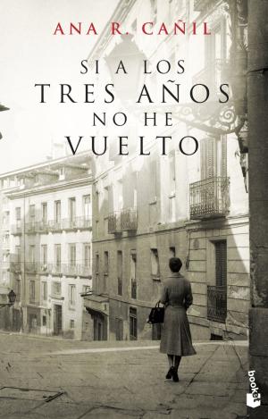 SI A LOS TRES AÑOS NO HE VUELTO
