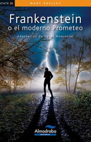 FRANKENSTEIN O EL MODERNO PROMETEO