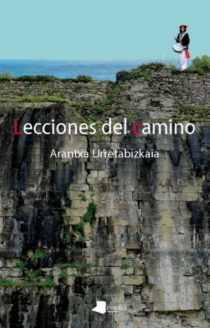 LECCIONES DEL CAMINO
