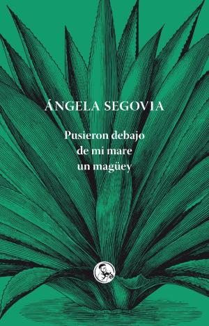 PUSIERON DEBAJO DE MI MARE UN MAGUEY