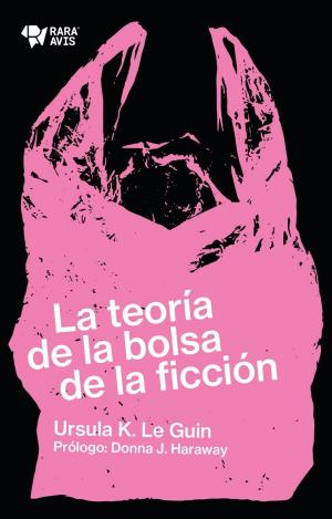 LA TEORIA DE LA BOLSA DE LA FICCION